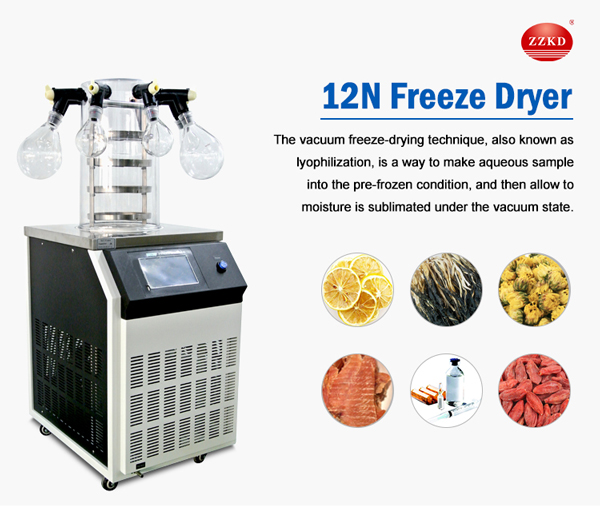 freeze dryer for sale