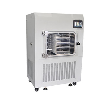 In-situ freeze dryer - Pharmaceutical freeze dryer